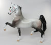 ROSITA-OOAK ROSE DAPPLE GREY SADDLEBRED SUGAR SKULL MODEL HORSE BY DAWN QUICK 9/9