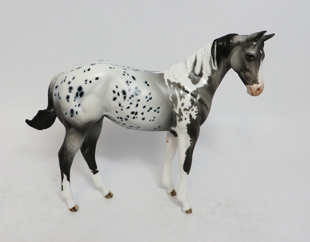 CHANCE - OOAK APPALOOSA WEANLING MODEL HORSE 2/22