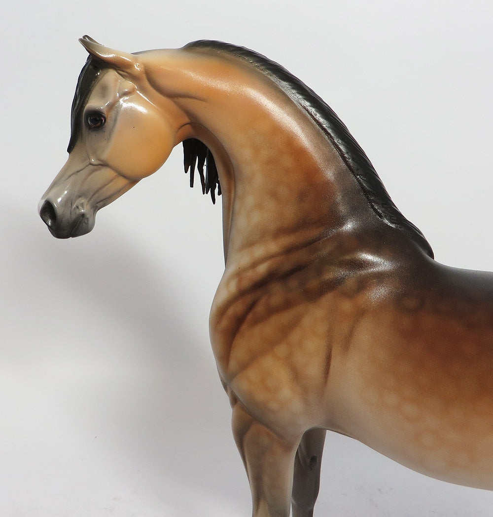 WHISKEY LULLABY - OOAK DAPPLE BUCKSKIN ARABIAN MODEL HORSE 2/22