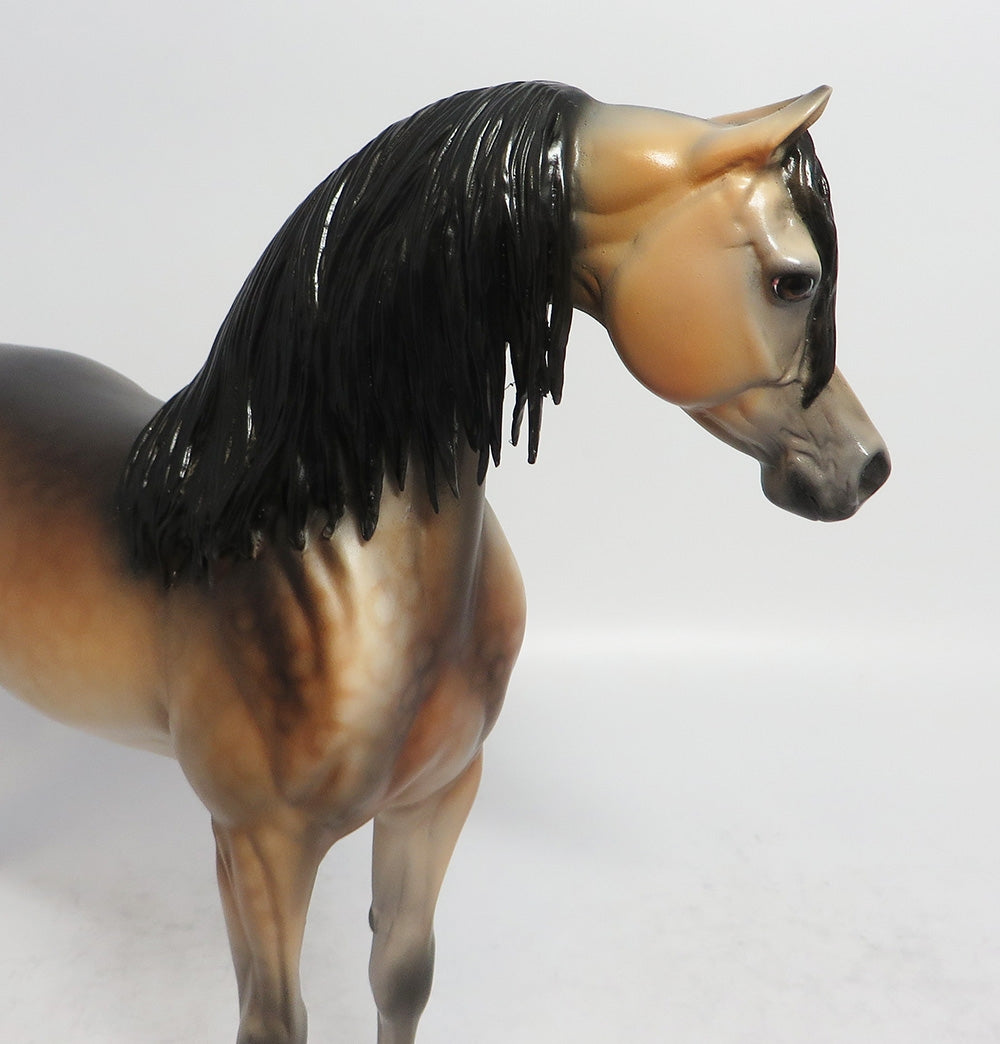 WHISKEY LULLABY - OOAK DAPPLE BUCKSKIN ARABIAN MODEL HORSE 2/22
