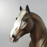 sheryl leisure