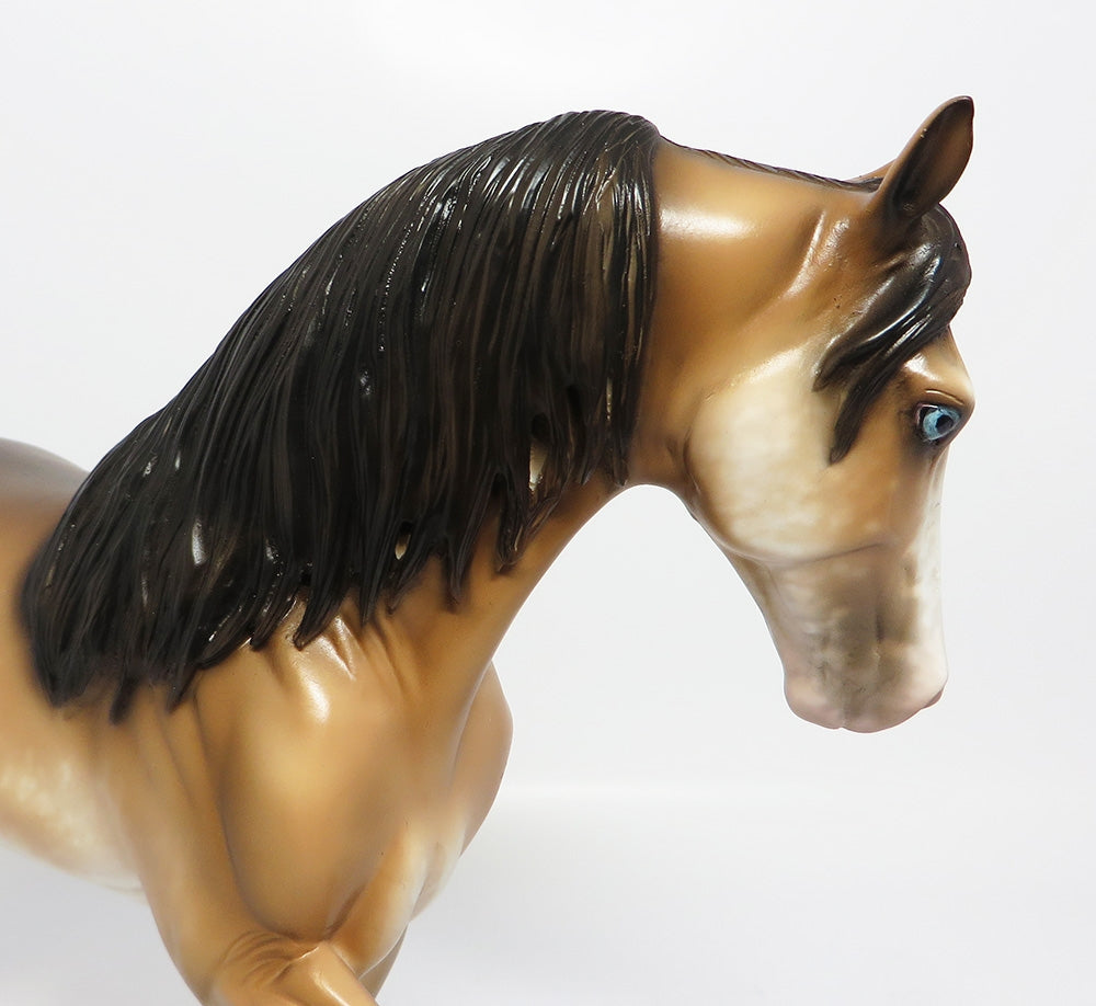 RING OF FIRE-OOAK BUCKSKIN SABINO TWH MODEL HORSE 7/25/17