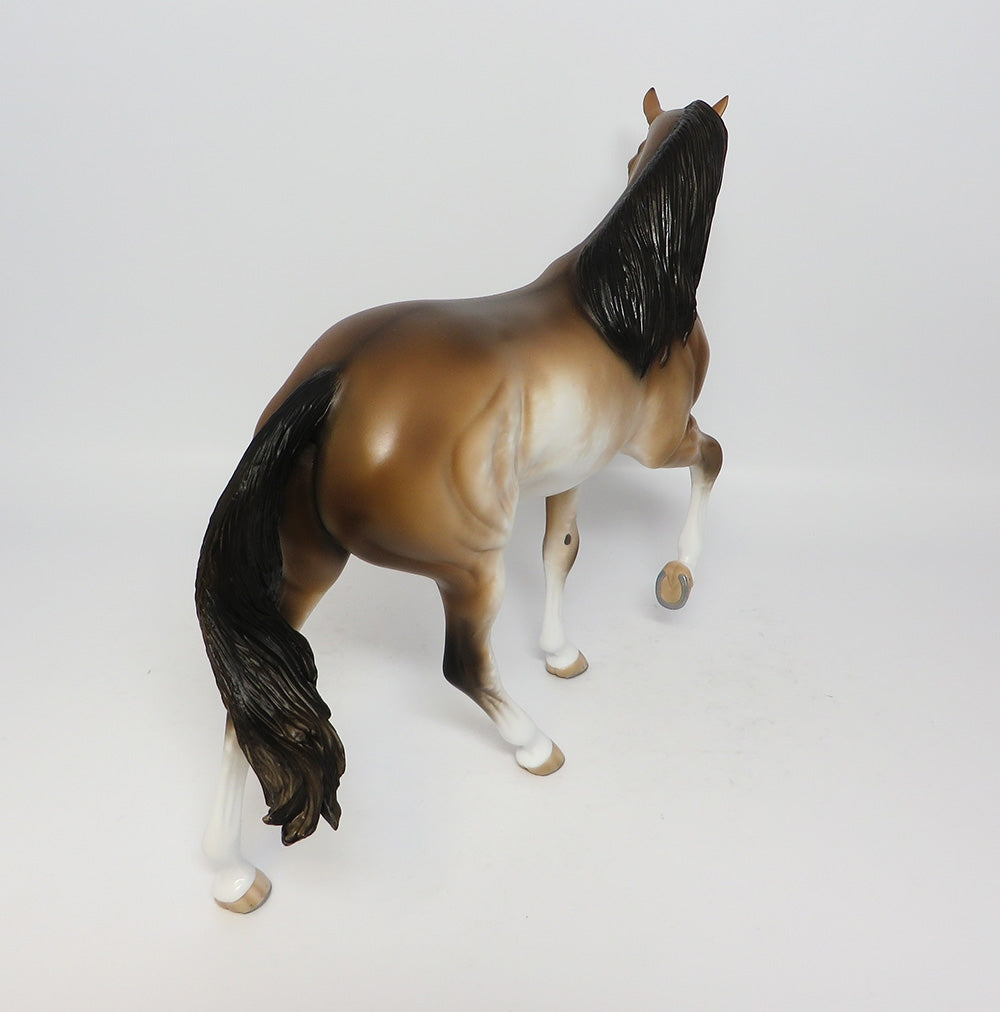 RING OF FIRE-OOAK BUCKSKIN SABINO TWH MODEL HORSE 7/25/17