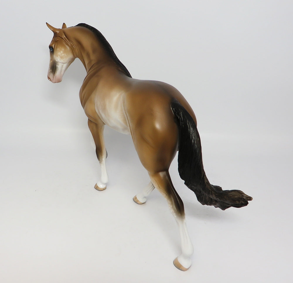 RING OF FIRE-OOAK BUCKSKIN SABINO TWH MODEL HORSE 7/25/17