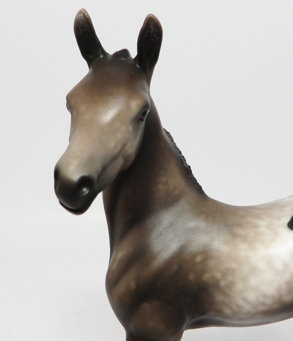 LITTLE FISH-OOAK LIVER APPALOOSA FOAL MODEL HORSE 7/27/17