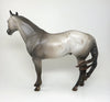 Ideal Stock Horse