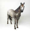 VARNISH ROAN ISH