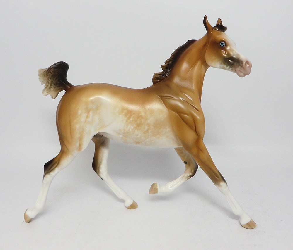 MAU TAI-OOAK BUCKSKIN SABINO YEARLING MODEL HORSE 7/26/17