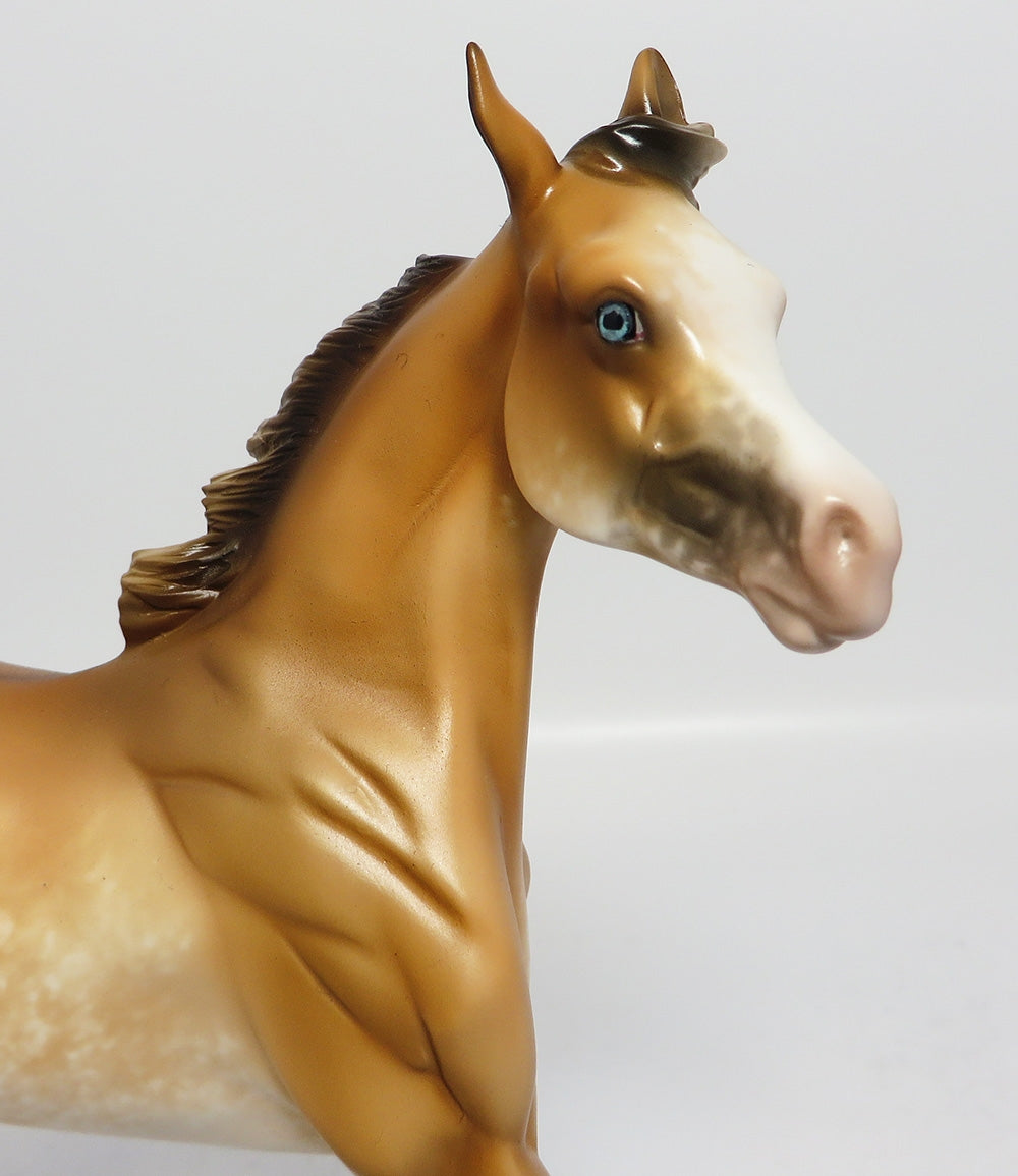 MAU TAI-OOAK BUCKSKIN SABINO YEARLING MODEL HORSE 7/26/17