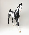 OOAK YEARLING