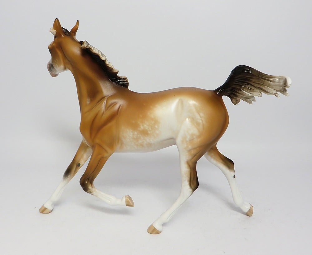 MAU TAI-OOAK BUCKSKIN SABINO YEARLING MODEL HORSE 7/26/17