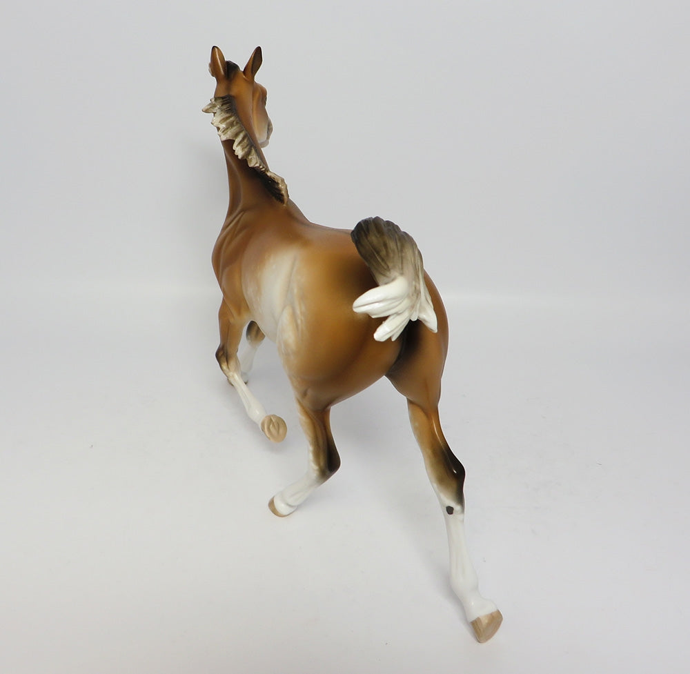 MAU TAI-OOAK BUCKSKIN SABINO YEARLING MODEL HORSE 7/26/17