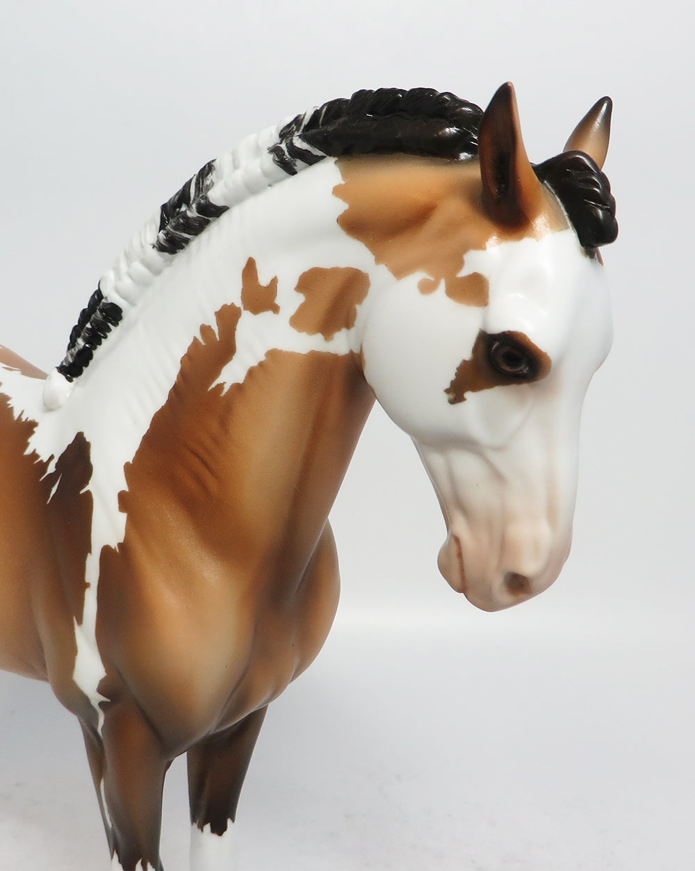 GRANDE-OOAK BUCKSKIN PAINT ANDALSUAN MODEL HORSE BY DAWN QUICK MODEL HORSE 2-23-18