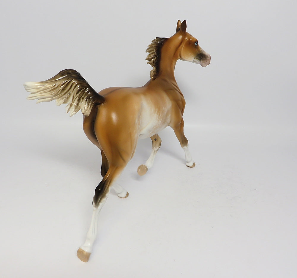 MAU TAI-OOAK BUCKSKIN SABINO YEARLING MODEL HORSE 7/26/17