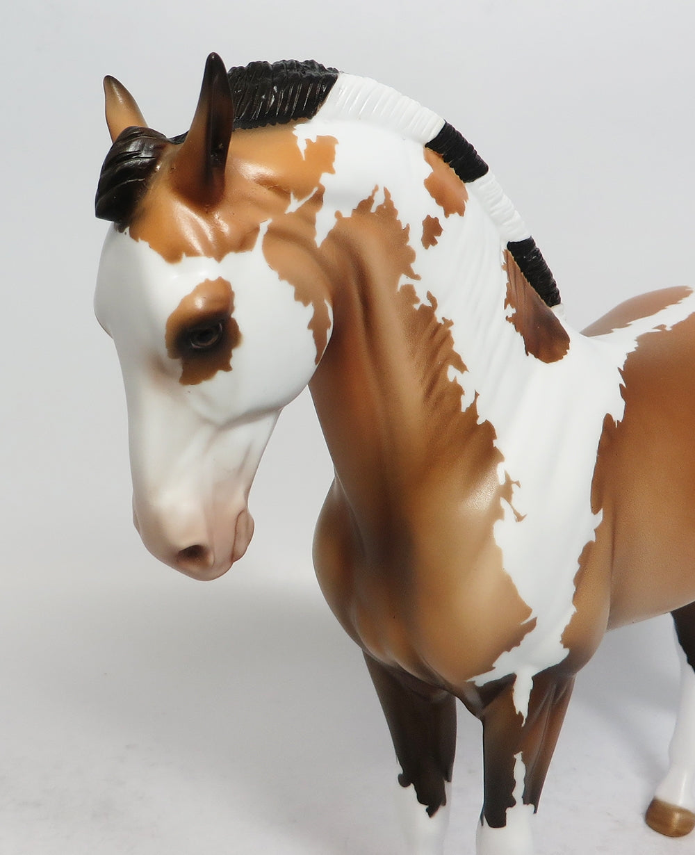 GRANDE-OOAK BUCKSKIN PAINT ANDALSUAN MODEL HORSE BY DAWN QUICK MODEL HORSE 2-23-18