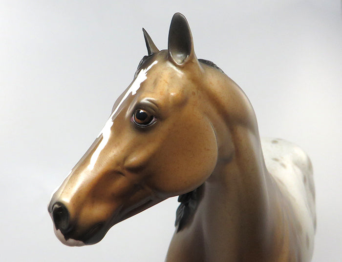 KANE-OOAK BUCKSKIN APPALOOSA ISH MODEL HORSE 9/9