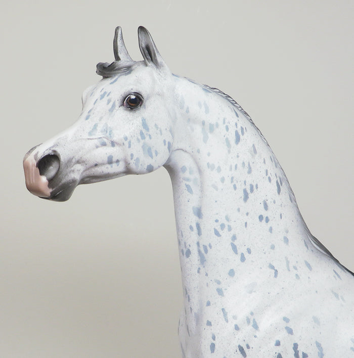 OOAK APPALOOSA