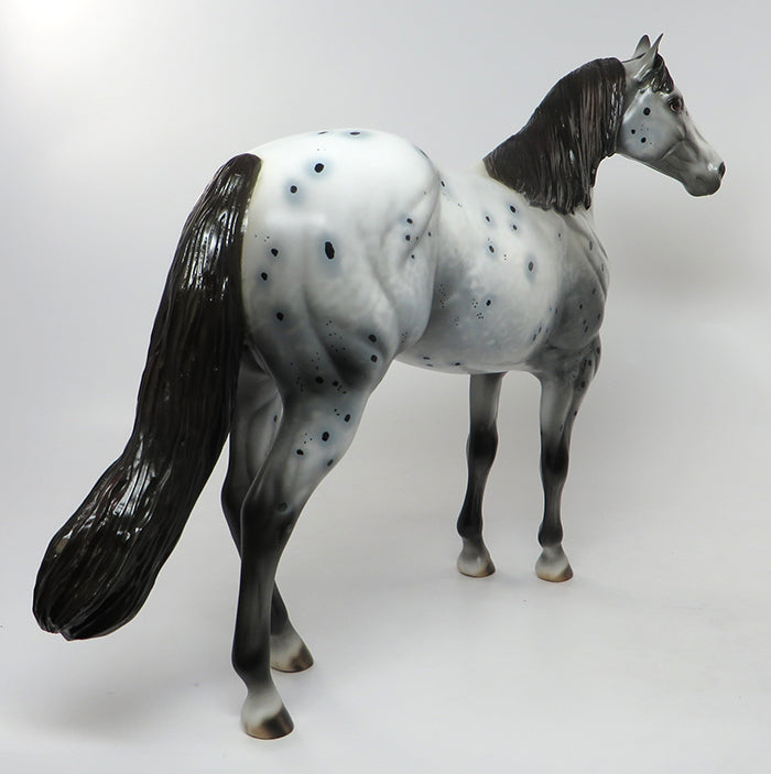 Appaloosa
