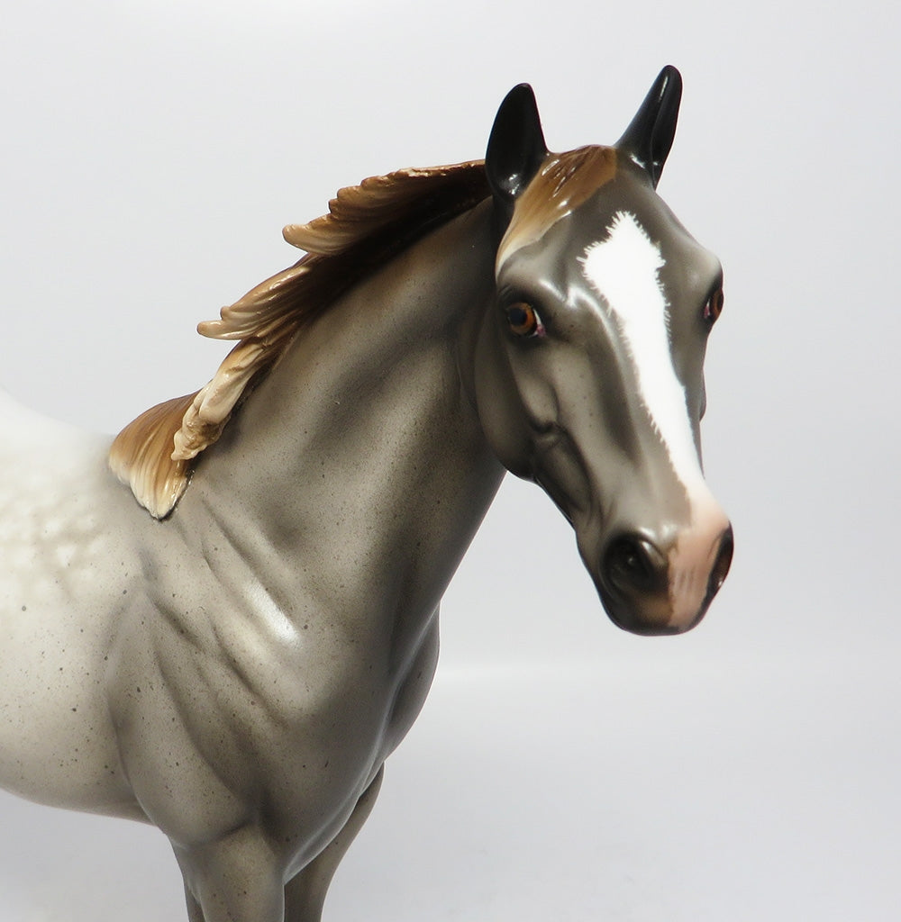 HOLLYWOOD JOE-OOAK GREY ROAN ISH MODEL HORSE 7/25/17
