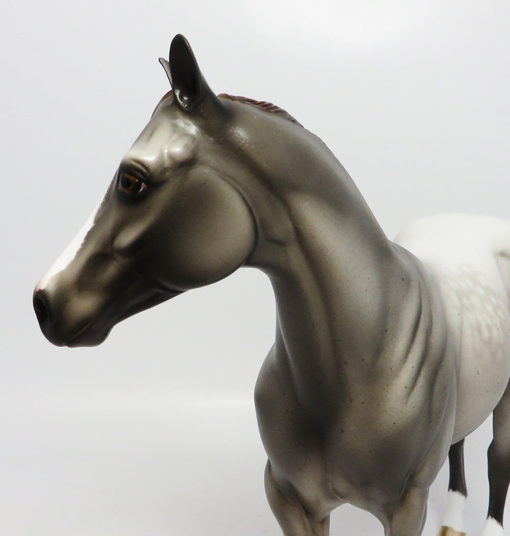 HOLLYWOOD JOE-OOAK GREY ROAN ISH MODEL HORSE 7/25/17
