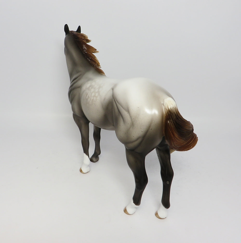HOLLYWOOD JOE-OOAK GREY ROAN ISH MODEL HORSE 7/25/17