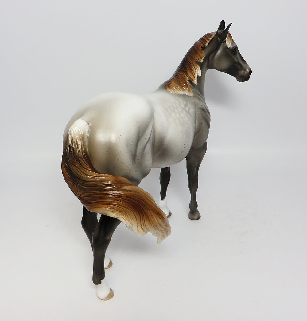 HOLLYWOOD JOE-OOAK GREY ROAN ISH MODEL HORSE 7/25/17