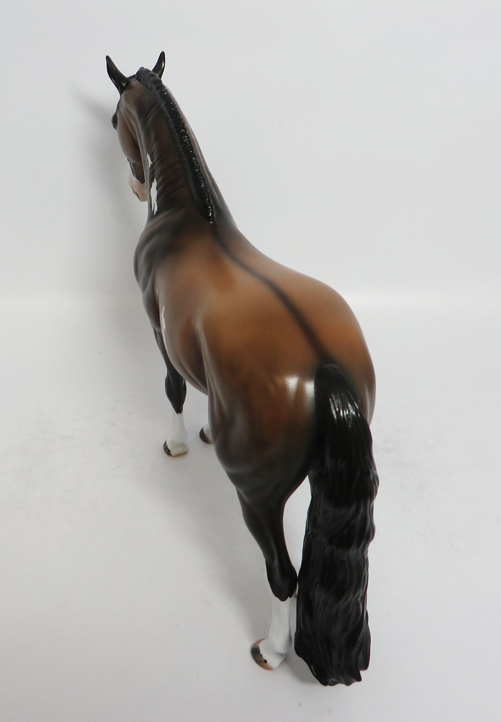 MANDRAKE-LE-3 SOOTY BUCKSKIN PAINT ANDALUSIAN MODEL HORSE BY DAWN QUICK 2-23-18