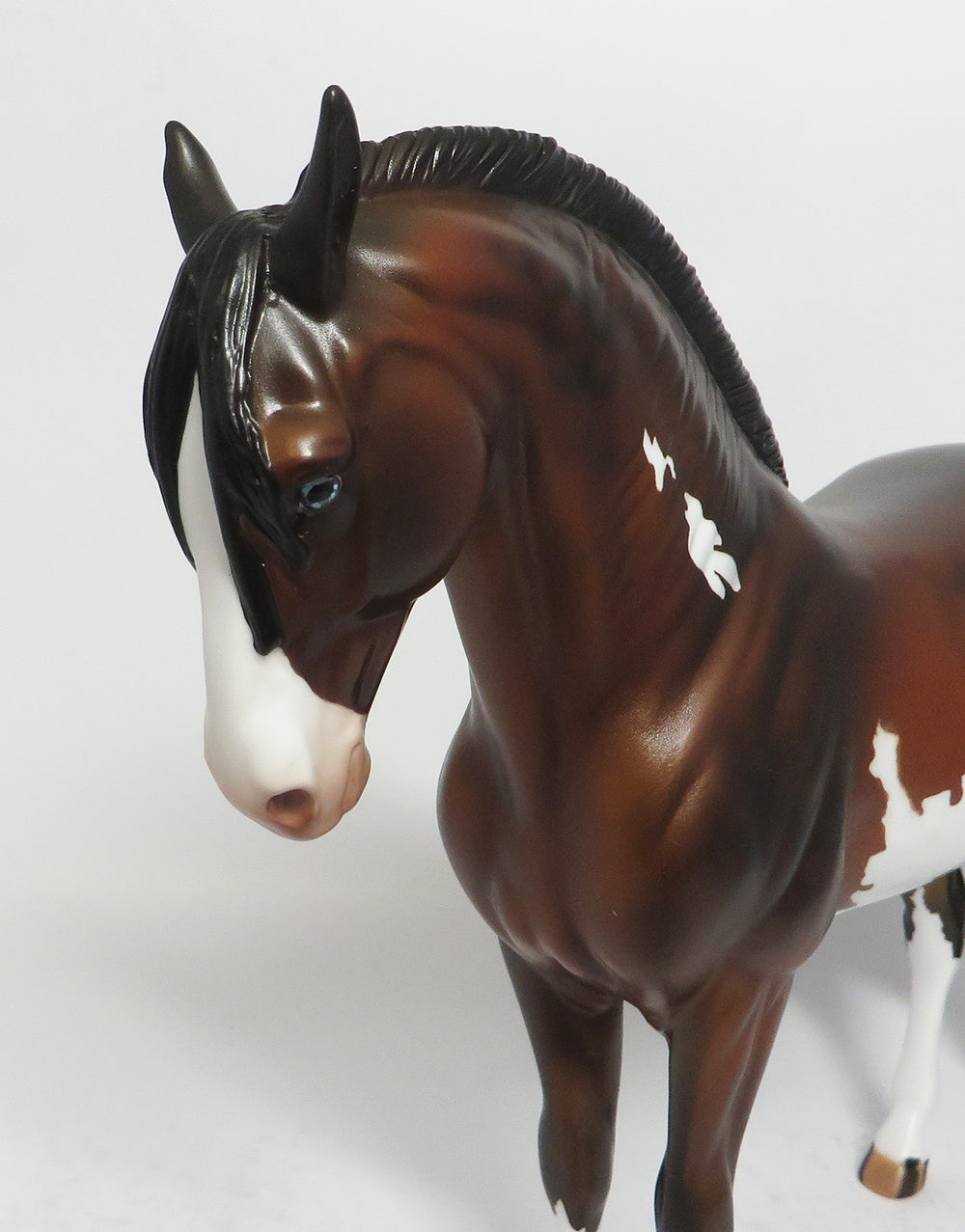 MAN OF FORTUNE-OOAK BAY PAINT ANDALSUAIN MODEL HORSE BY DAWN QUICK 2-23-18