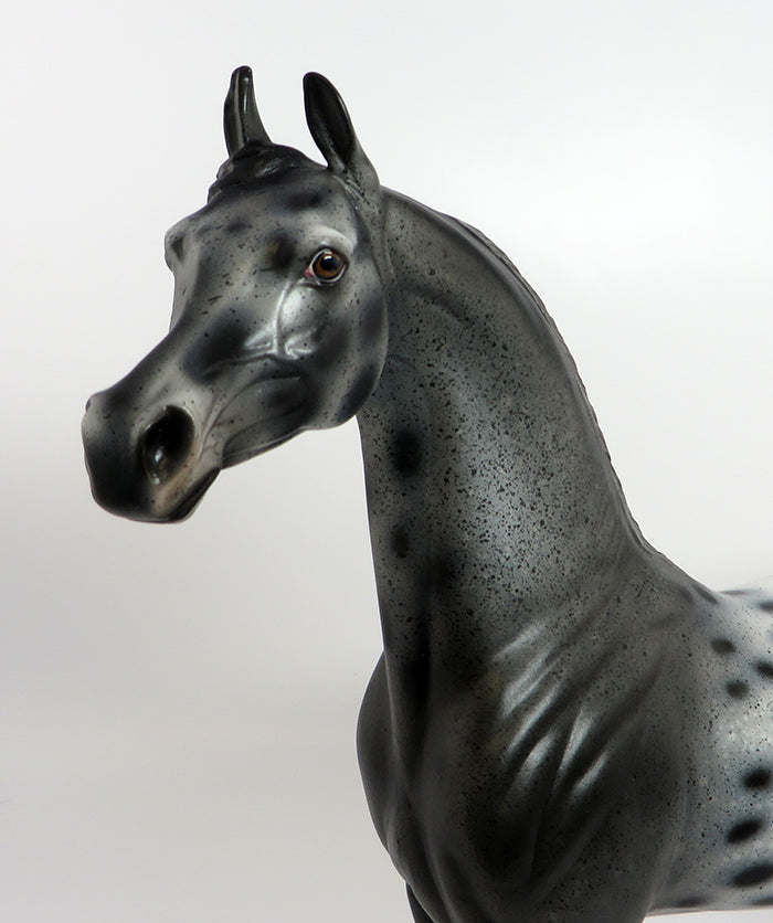 WALL STREET-OOAK LOUD APPALOOSA ARABIAN MODEL HORSE 2/10