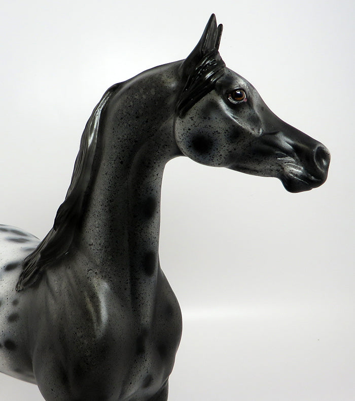 WALL STREET-OOAK LOUD APPALOOSA ARABIAN MODEL HORSE 2/10