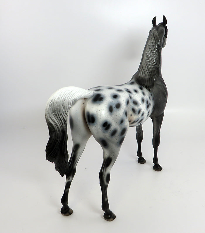 WALL STREET-OOAK LOUD APPALOOSA ARABIAN MODEL HORSE 2/10