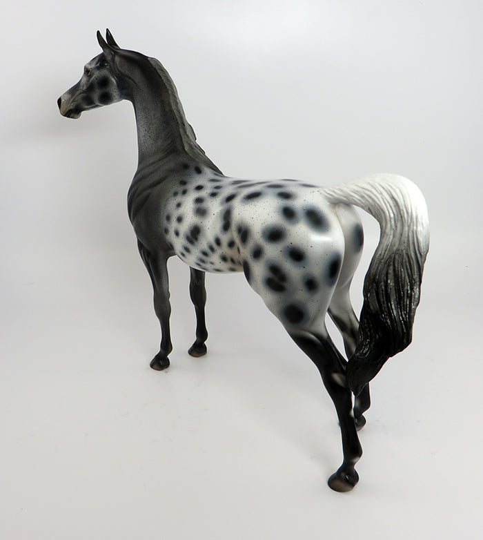 WALL STREET-OOAK LOUD APPALOOSA ARABIAN MODEL HORSE 2/10