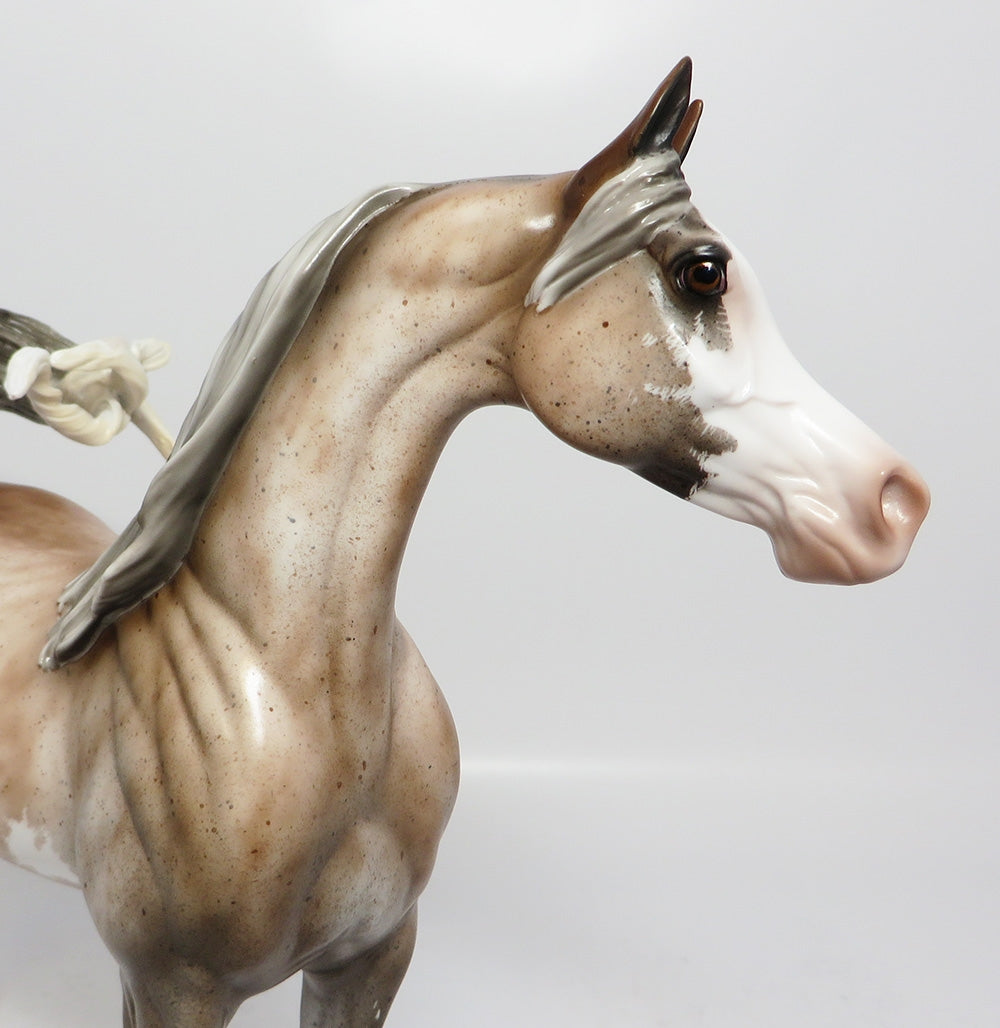 ROYAL BLOOD-OOAK BAY SABINO GOING GREY ARABIAN BY SHERYL LEISURE 7/24/2017