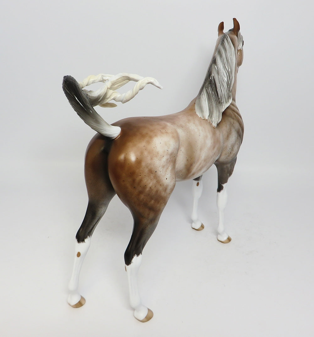 ROYAL BLOOD-OOAK BAY SABINO GOING GREY ARABIAN BY SHERYL LEISURE 7/24/2017