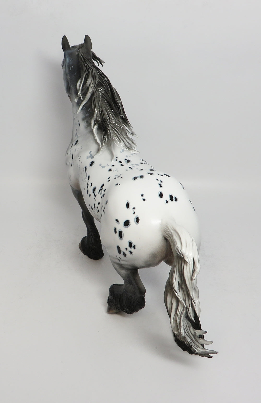 Appaloosa