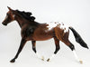 appaloosa