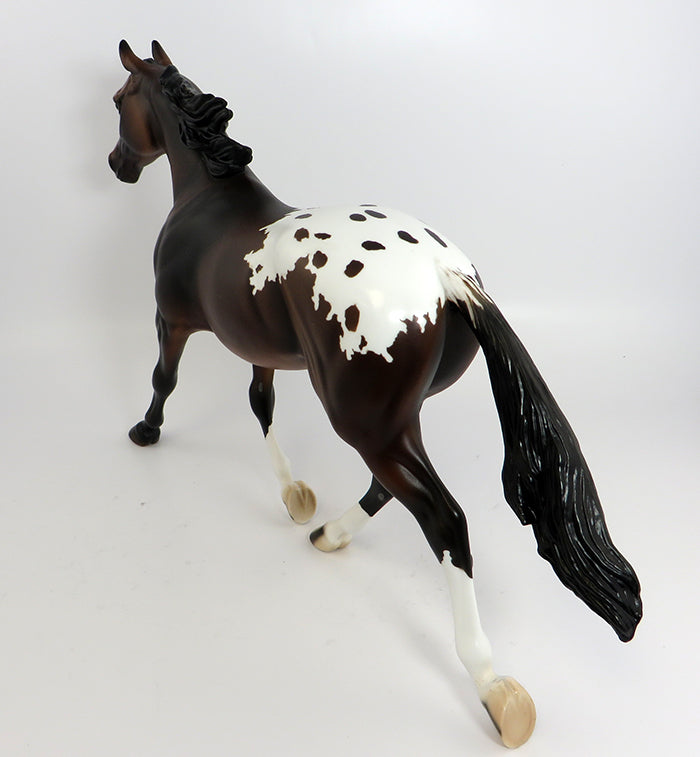 bay appaloosa