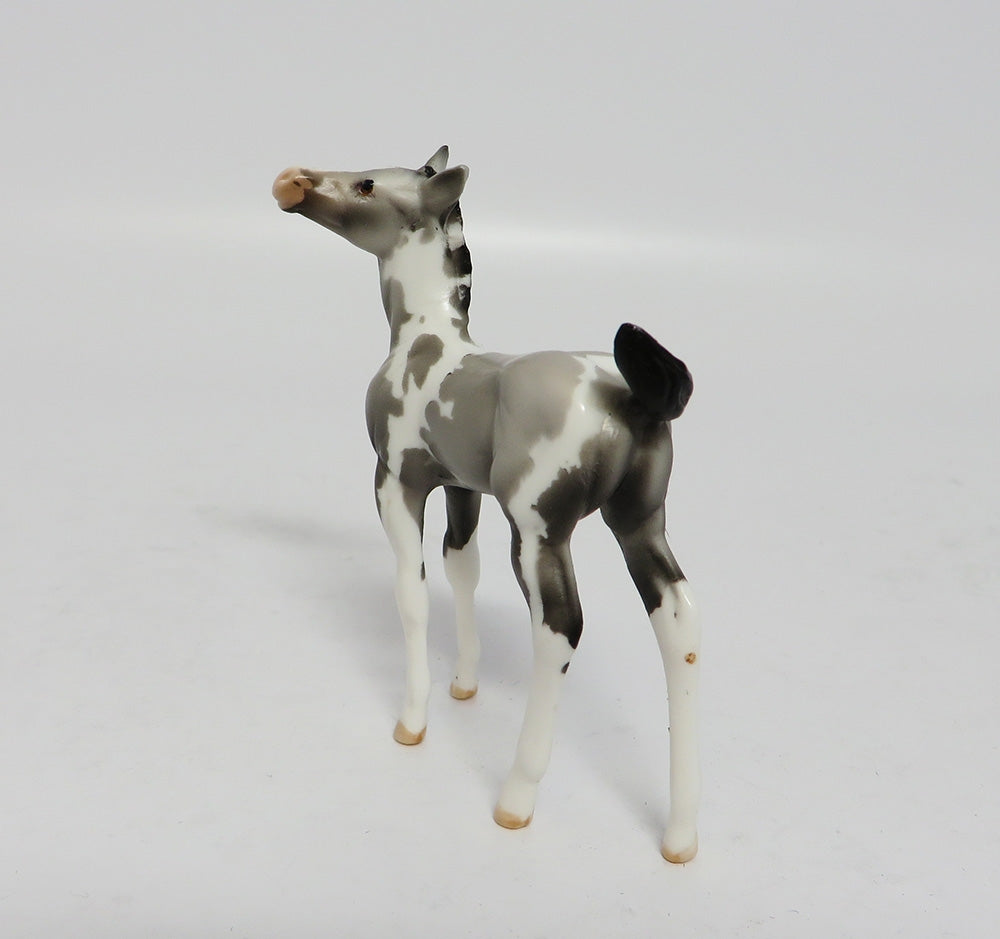 ACOODA-OOAK GREY PINTO CHIP FOAL MODEL HORSE 7/24/17
