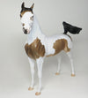 wind runner arabian 