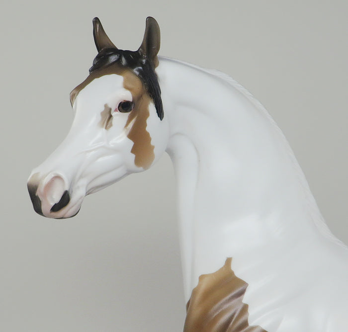 paint arabian wind runner