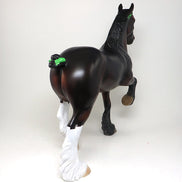 bay trotting drafter 