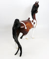 CRUSHER-OOAK BAY MAPPED PAINT SADDLEBRED MODEL HORSE BY DAWN QUICK 2/9