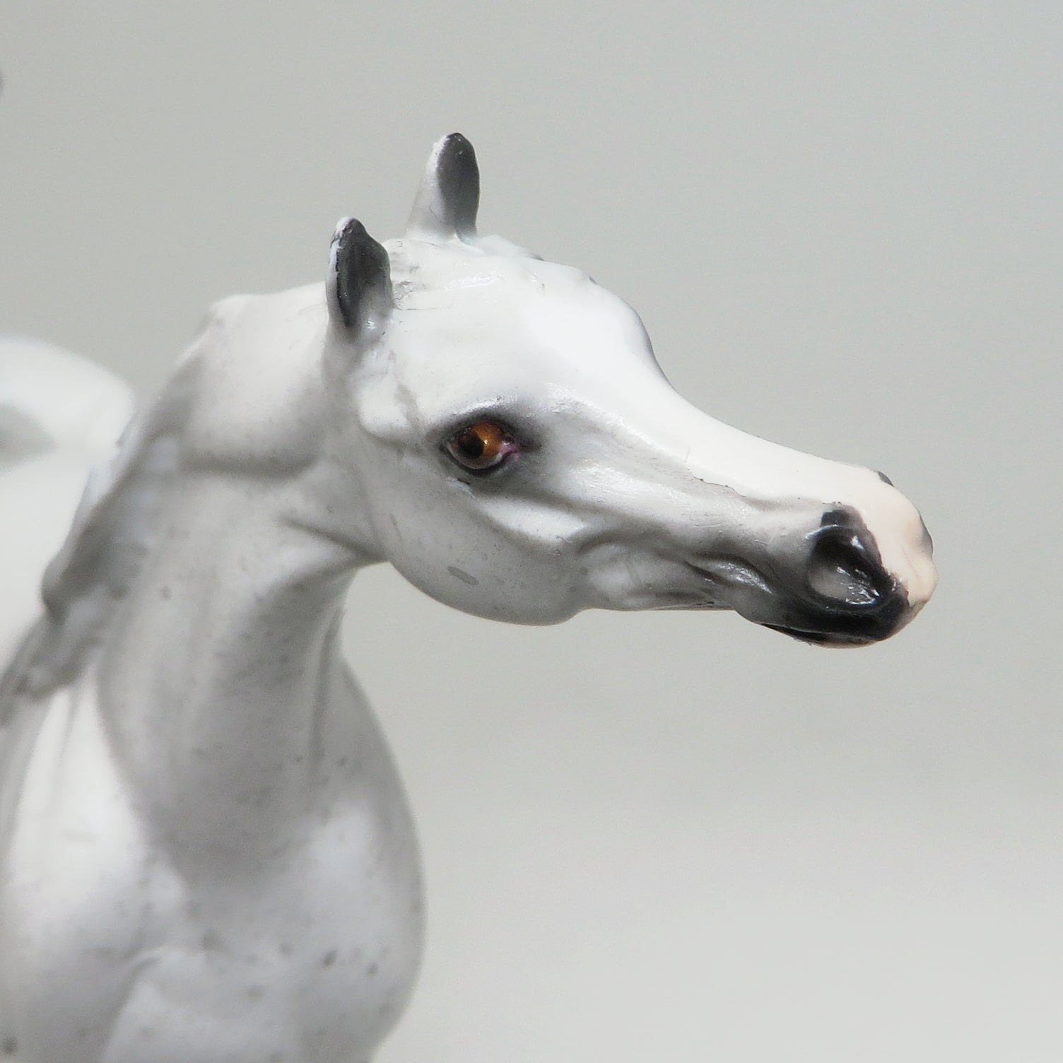 peter stone chips salsa dancer