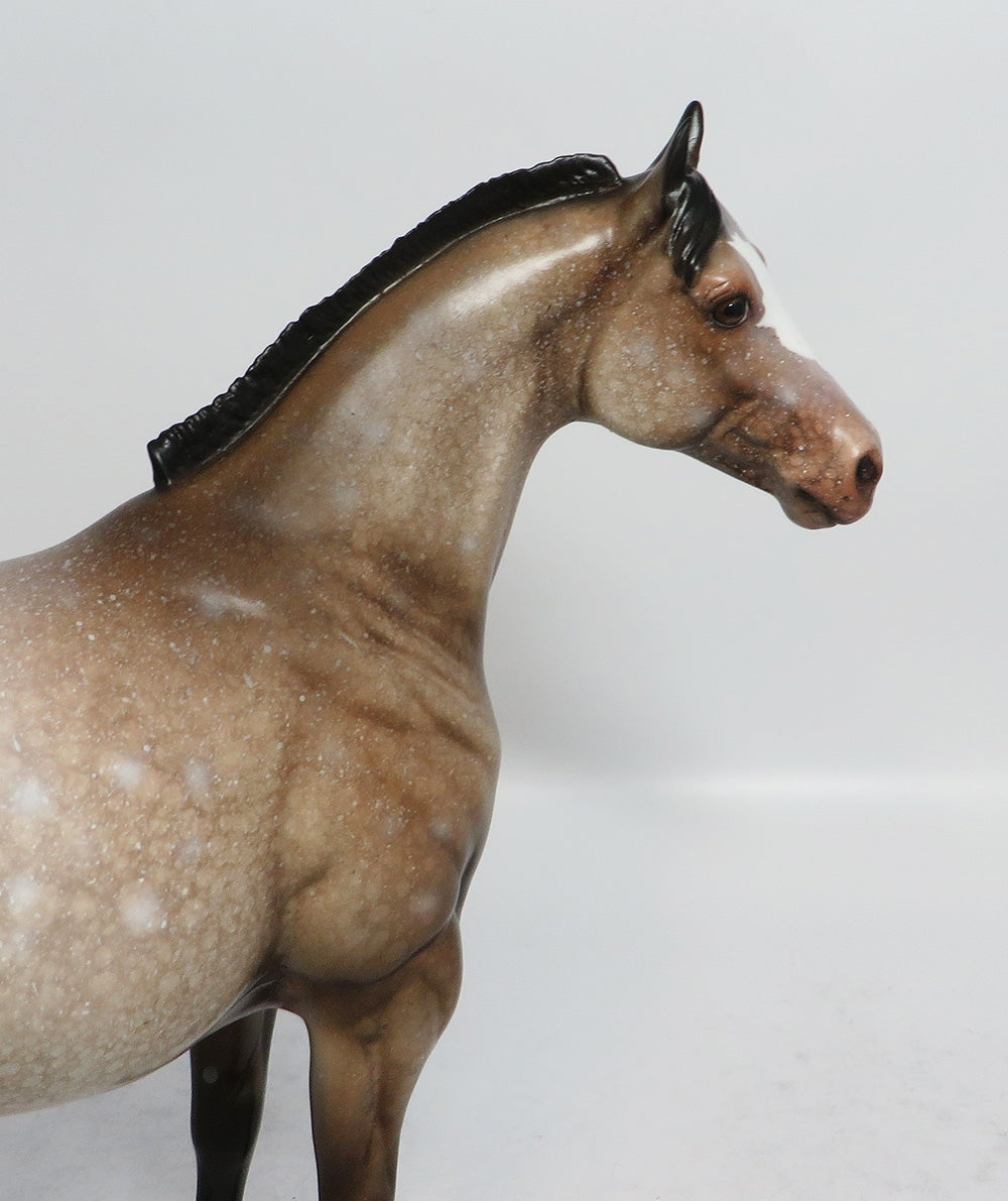 FRITZ - OOAK SOOTY BUCKSKIN APPALOOSA ISH MODEL HORSE EA 2018