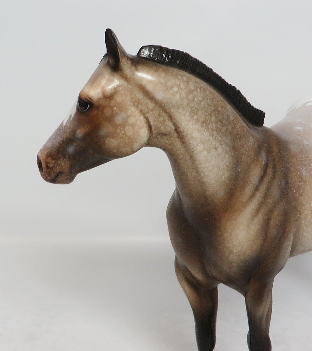 FRITZ - OOAK SOOTY BUCKSKIN APPALOOSA ISH MODEL HORSE EA 2018