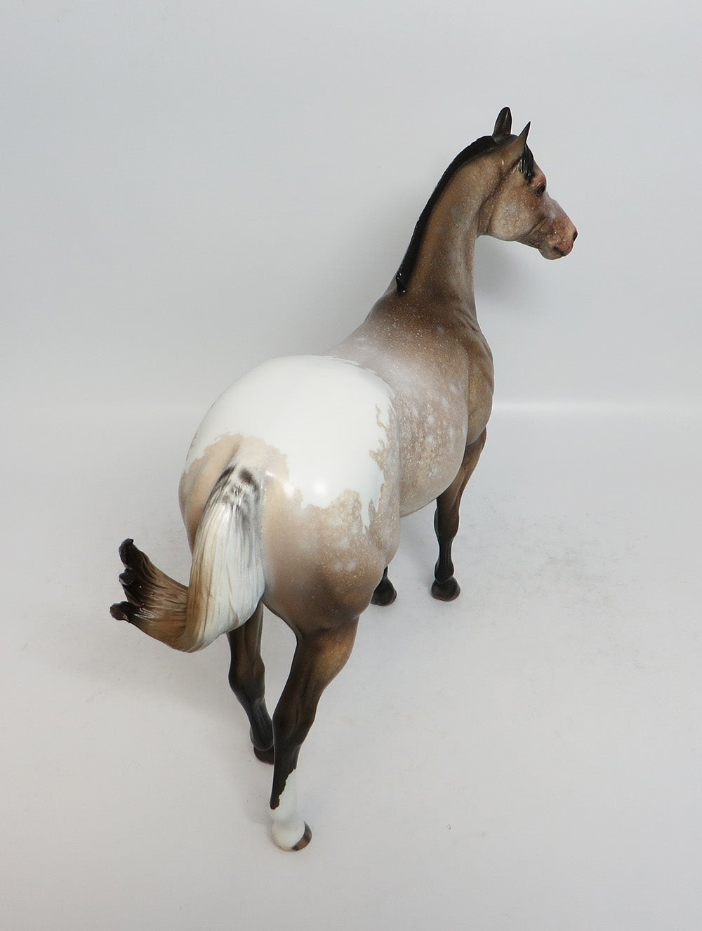 FRITZ - OOAK SOOTY BUCKSKIN APPALOOSA ISH MODEL HORSE EA 2018