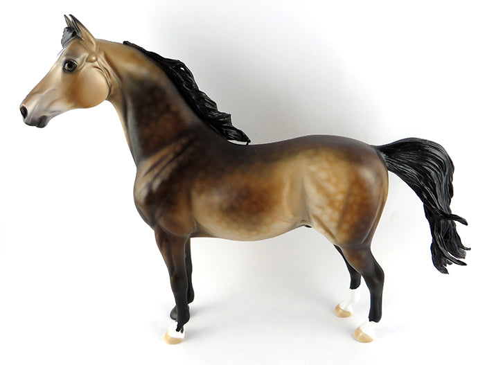 Morgan Horse