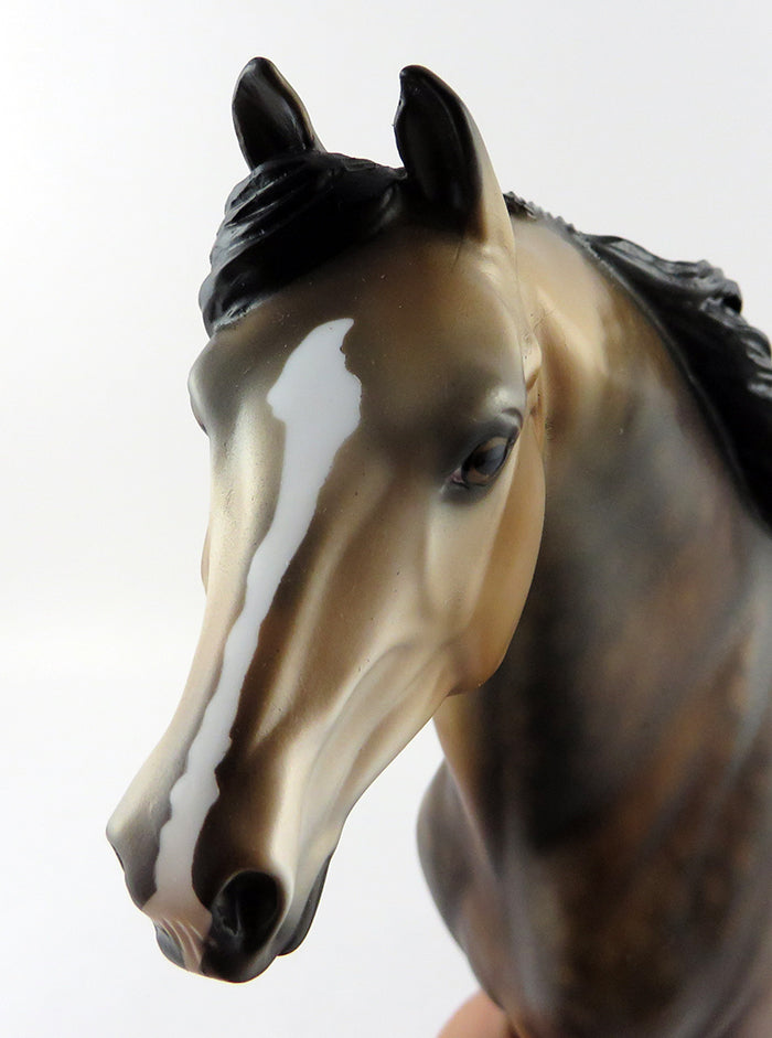 MACDUFF-OOAK SOOTY DAPPLED BUCKSKIN MORGAN MODEL HORSE BY DAWN QUCK 9/15