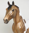 buckskin paint 
