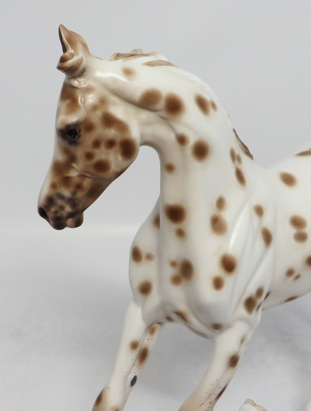 FUR ELSIE-OOAK CHESTNUT LEOPARD YEARLING MODEL HORSE BY SHERYL LEISURE 3-1-18